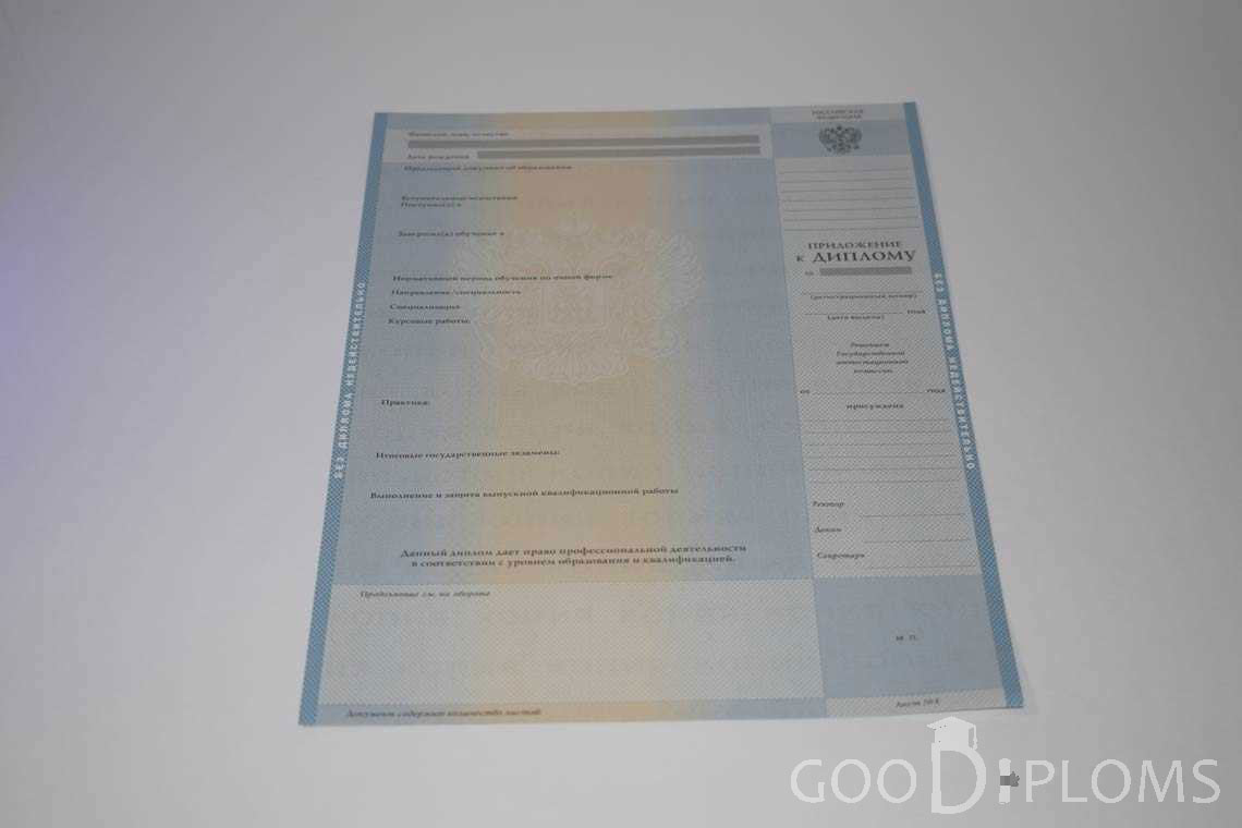 Приложение к Диплому Бакалавра в период c 2003 по 200 год - Хабаровск