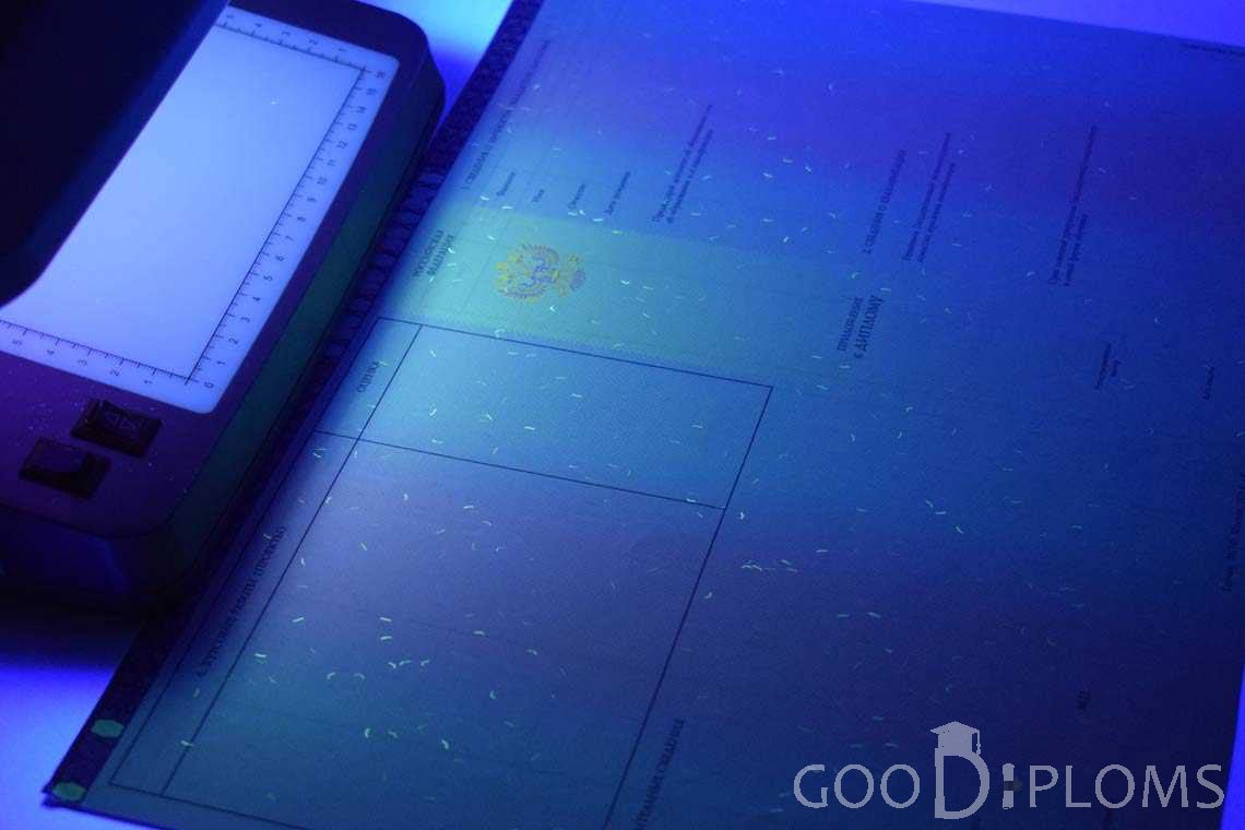 Приложение к Диплому Бакалавра с Отличием в Ультрафиолете период c 2013 по 2025 год - Хабаровск