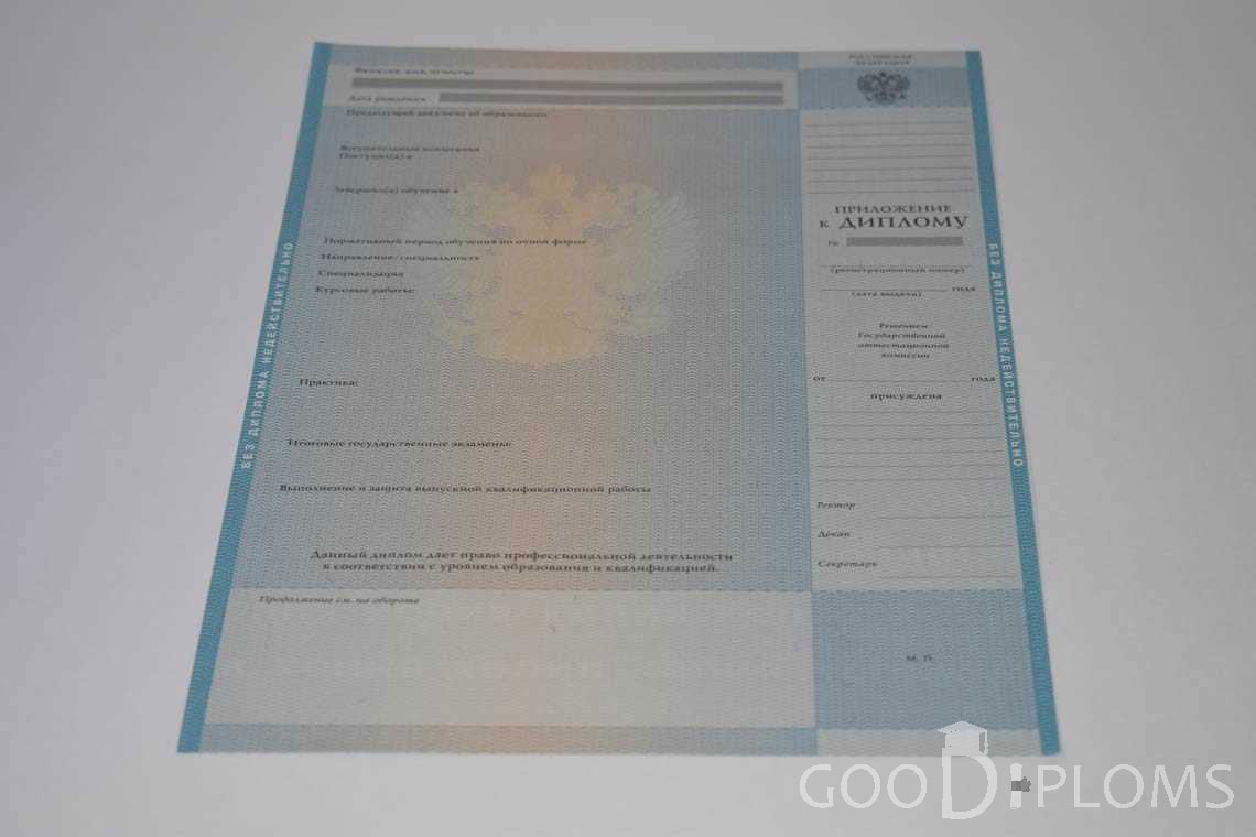 Приложение к Диплому Магистра в период c 2009 по 2010 год - Хабаровск