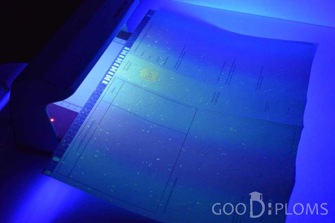 Приложение к Диплому Магистра в Ультрафиолете в период c 2014 по 2025 год - Хабаровск
