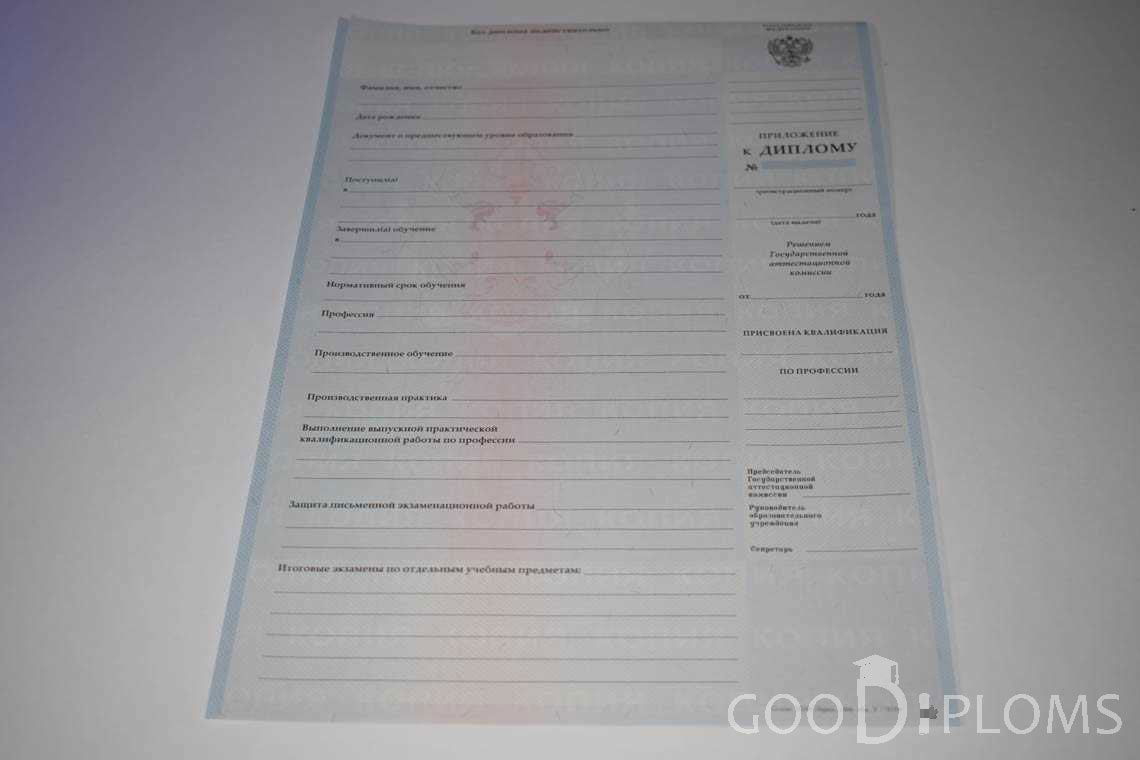 Приложение к Диплому Училища период выдачи 2007-2010  -  Хабаровск