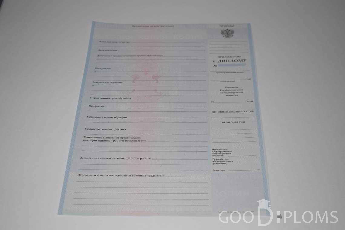 Приложение к Диплому Техникума с Отличием в период c 2008 по 2010 год - Хабаровск