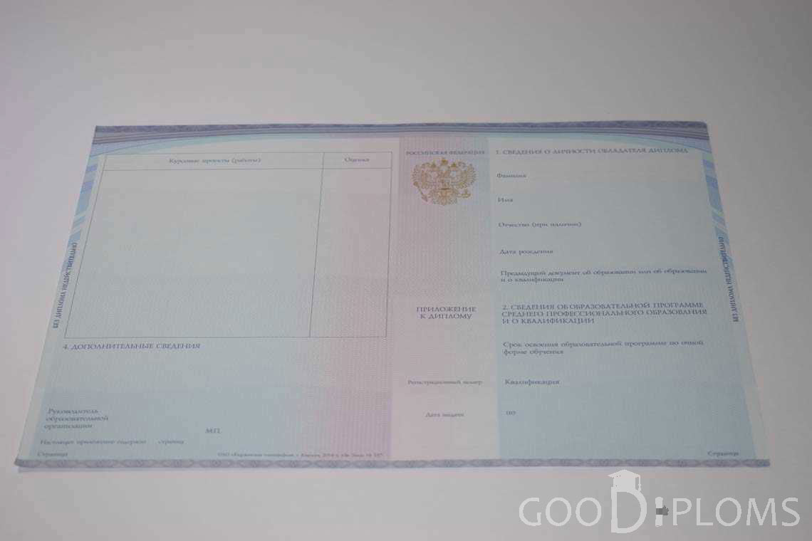 Приложение к Диплому Техникума с Отличием в период c 2014 по 2025 год - Хабаровск