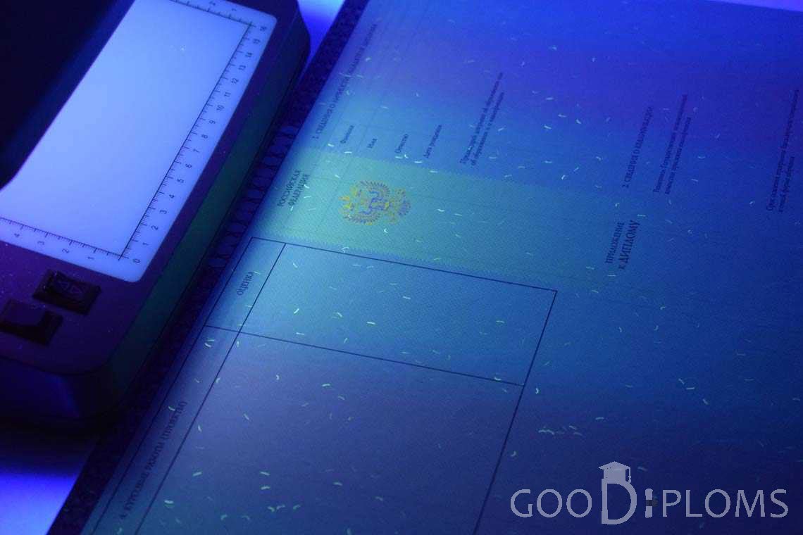 Приложение к Диплому о Высшем Образовании с Отличием в Ультрафиолете - Хабаровск
